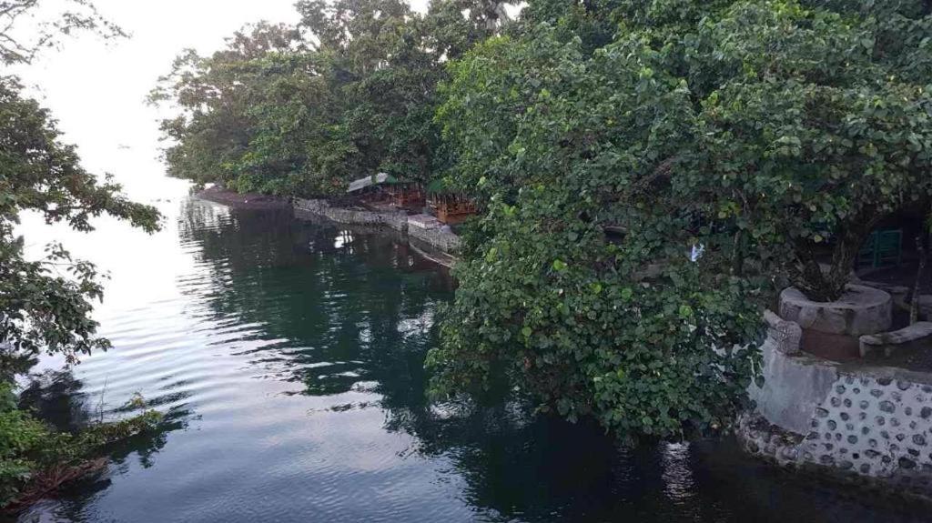 Nature Green Forest Resort Baler Luaran gambar