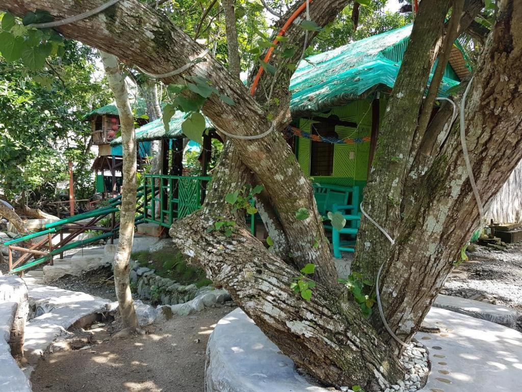 Nature Green Forest Resort Baler Luaran gambar