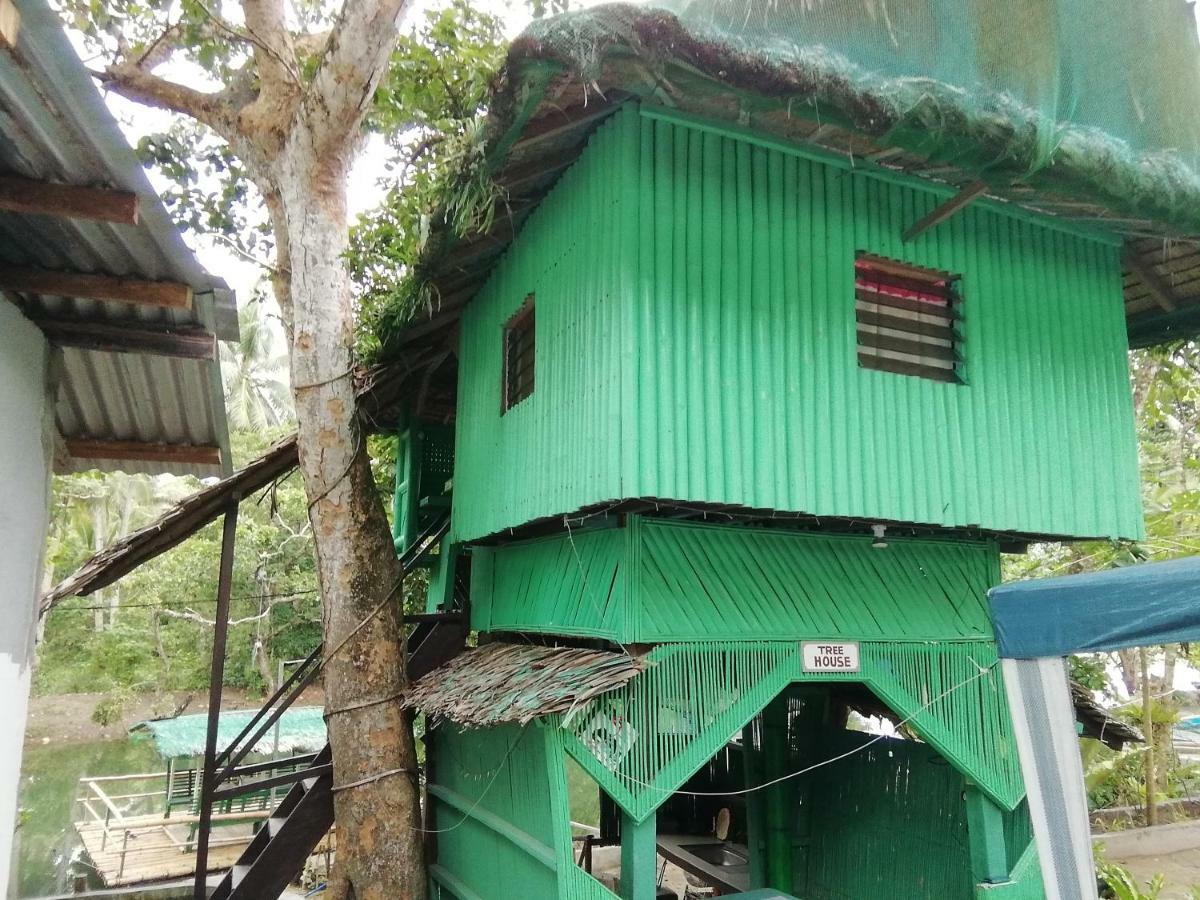 Nature Green Forest Resort Baler Luaran gambar