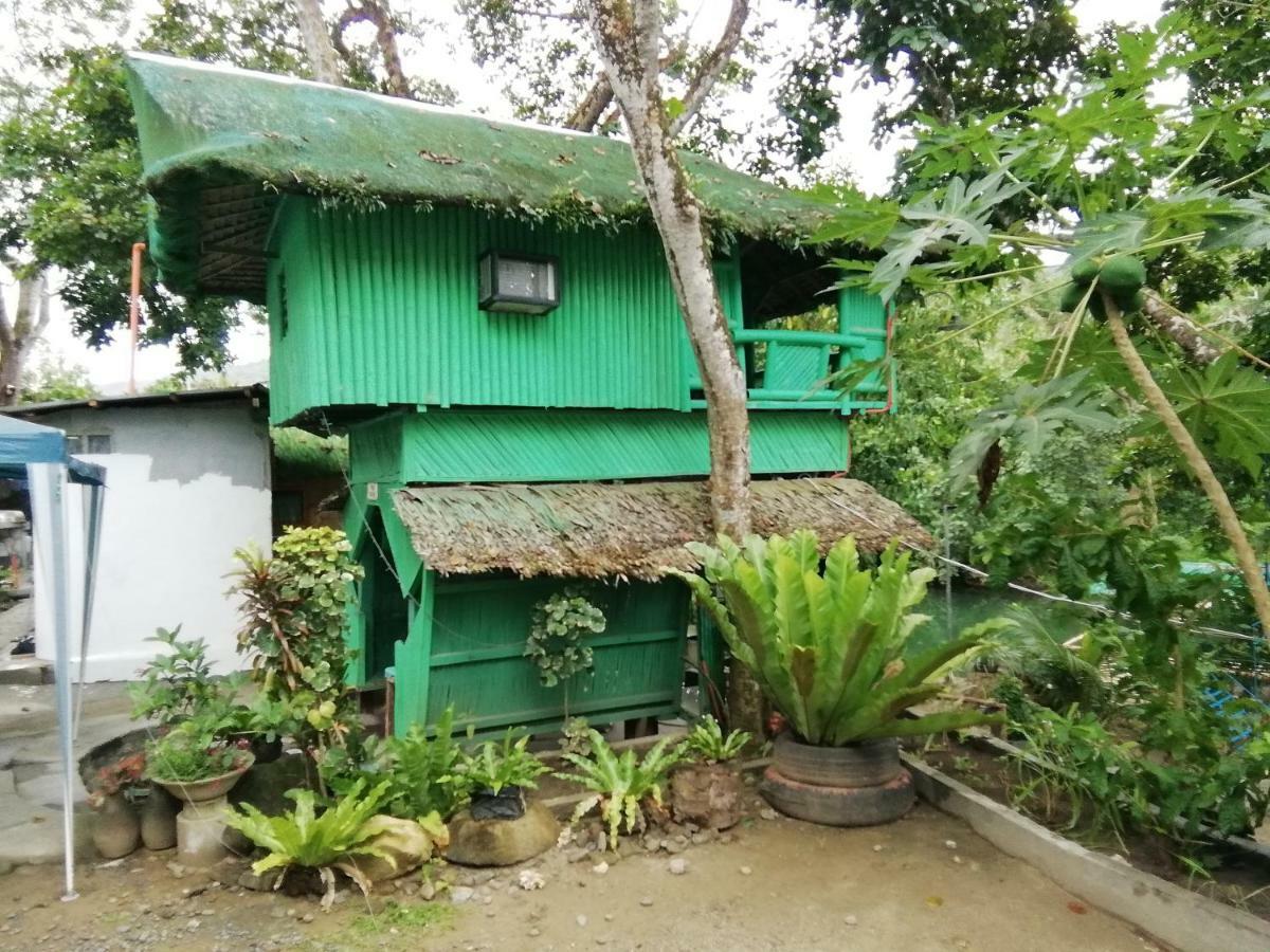 Nature Green Forest Resort Baler Luaran gambar